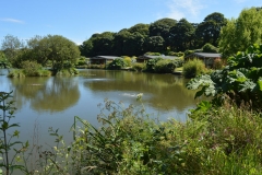 view of Nanpusker lodges