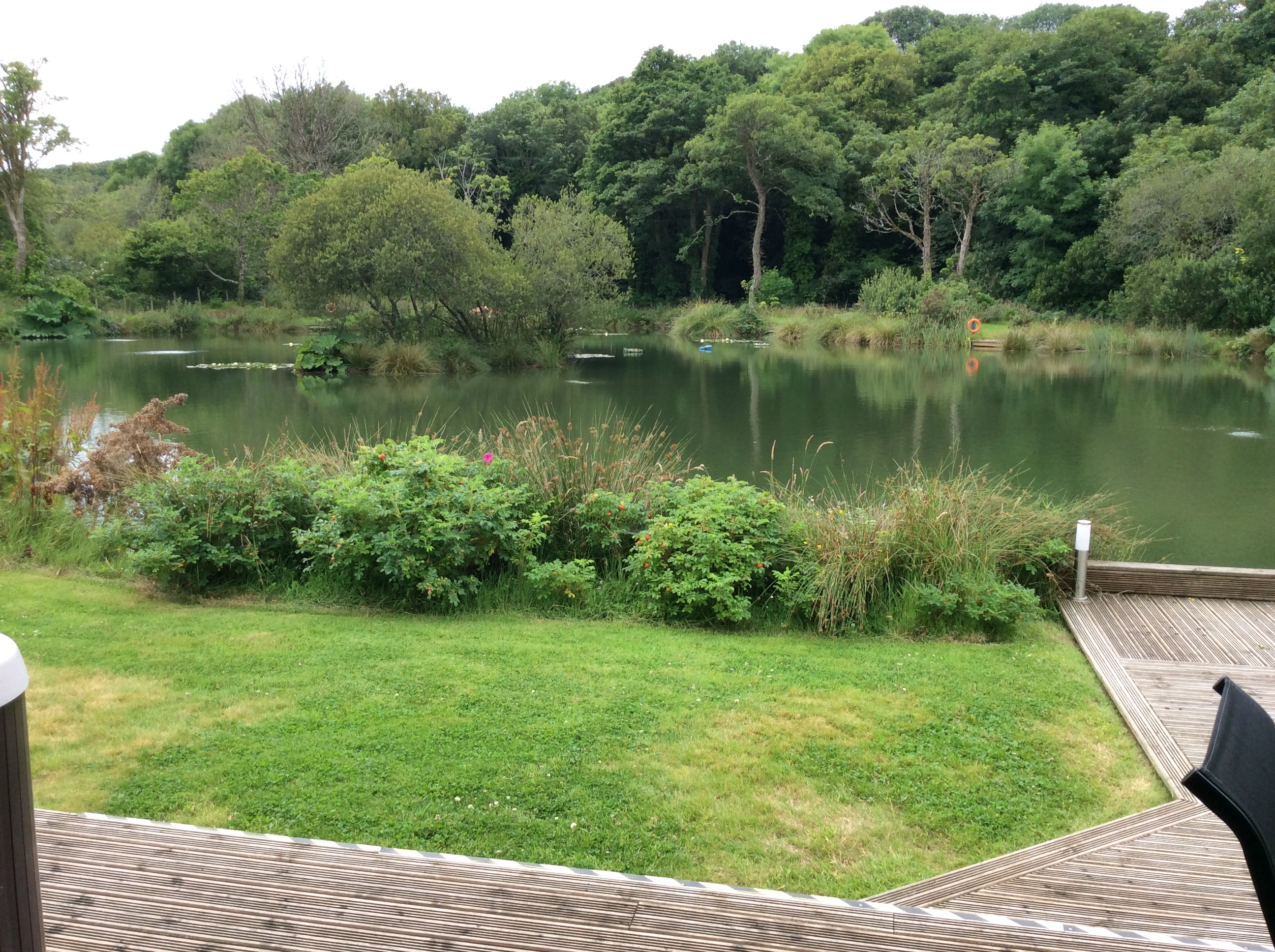 Looking out of the Woodpecker Lodge