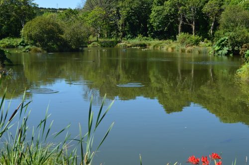 Nanpusker Lakeside Lodges offers fully equipped, beautifully presented lakeside fishing lodges overlooking a private fishing lake. An ideal location for family fishing holidays.