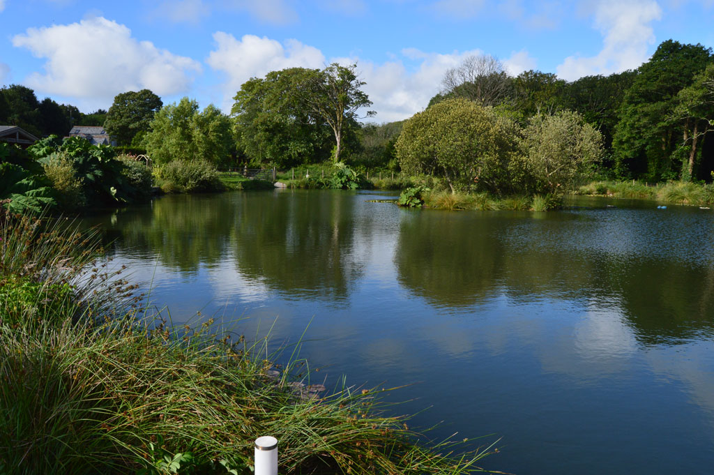 View across the lake