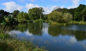 lake reflect