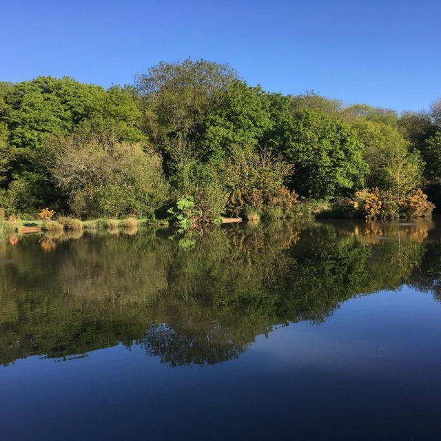 Hope this good weather continues #early morning #reflections #sun #warmth